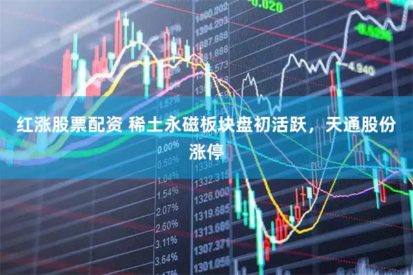 红涨股票配资 稀土永磁板块盘初活跃，天通股份涨停