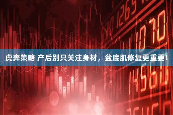 虎奔策略 产后别只关注身材，盆底肌修复更重要！